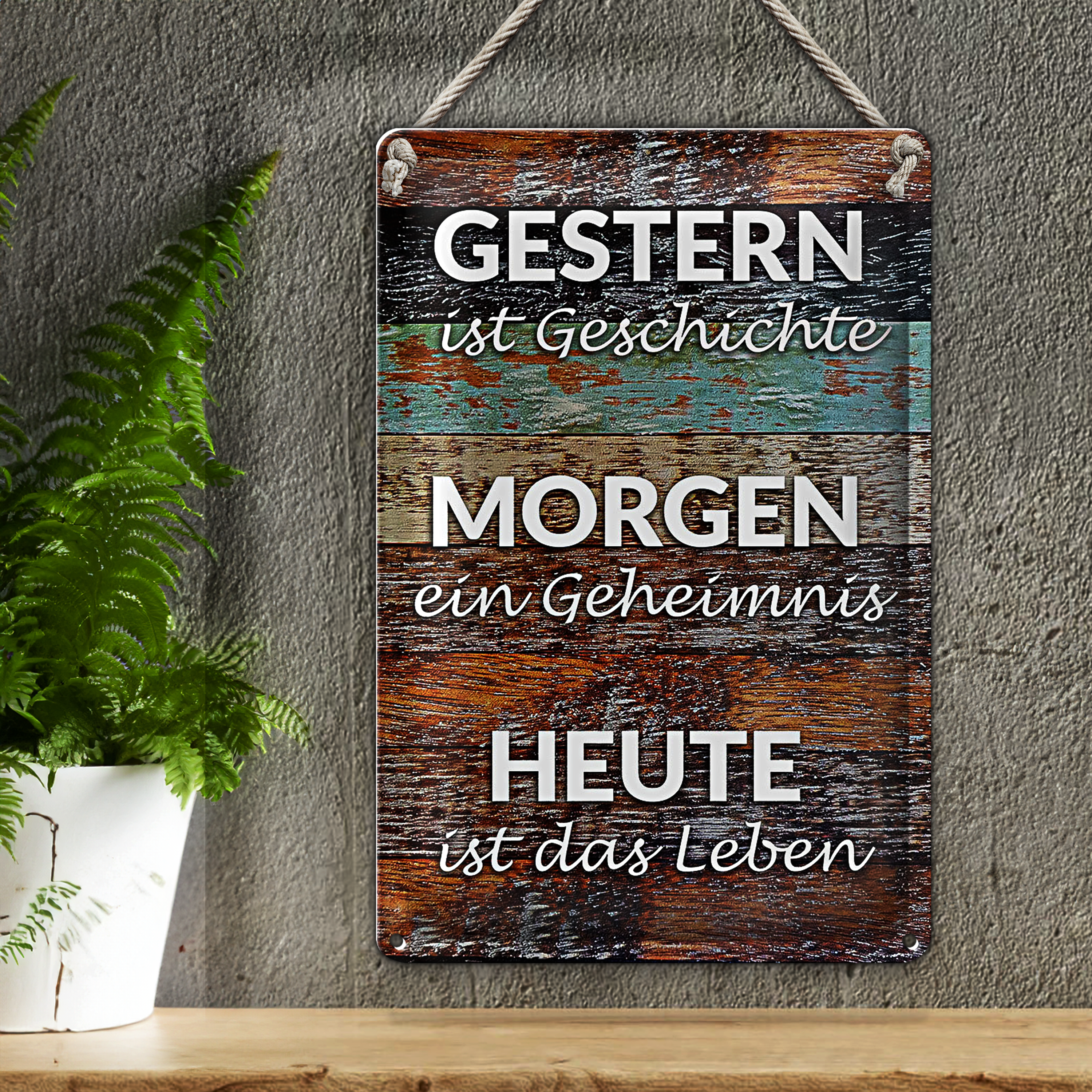 Bild 3 von 4